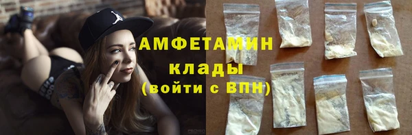 молекула духа Козловка
