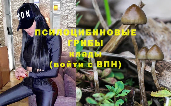 метамфетамин Козельск